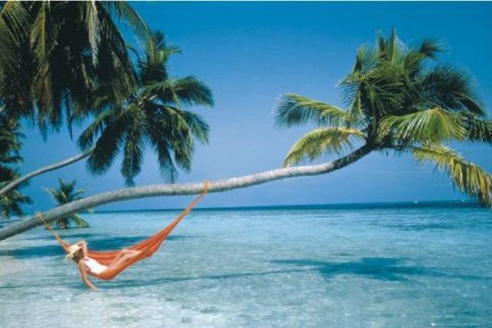 hammock-on-beach